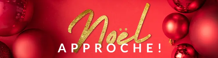 Noel 2023