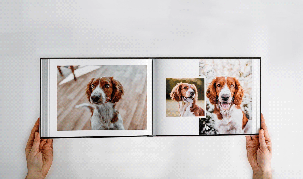 Livre photo en tissu de luxe