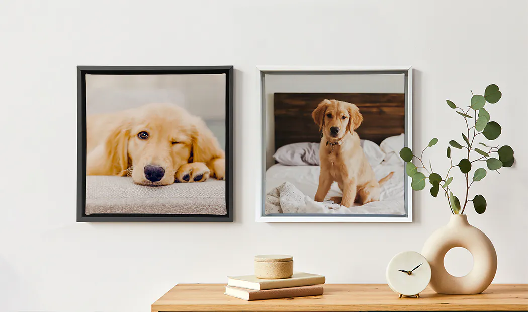 Deux tableaux personnalisés : un chiot Golden Retriever dormant et un autre assis sur un lit.