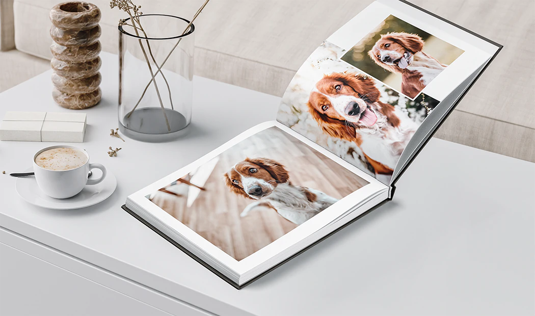 Livre photo en tissu de luxe