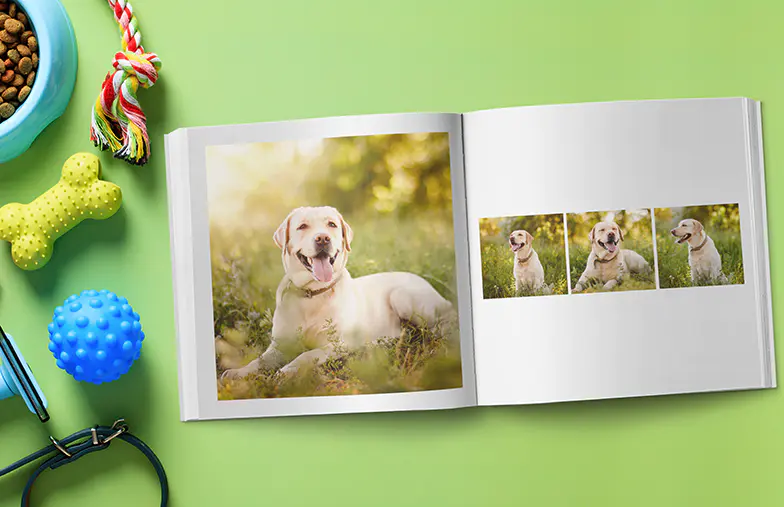 Livres Photo Moments In White