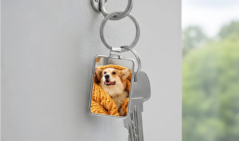 Création en ligne facile